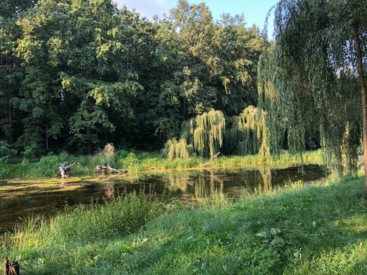 Apartment Konopnickiej Stary Toruń Zewnętrze zdjęcie